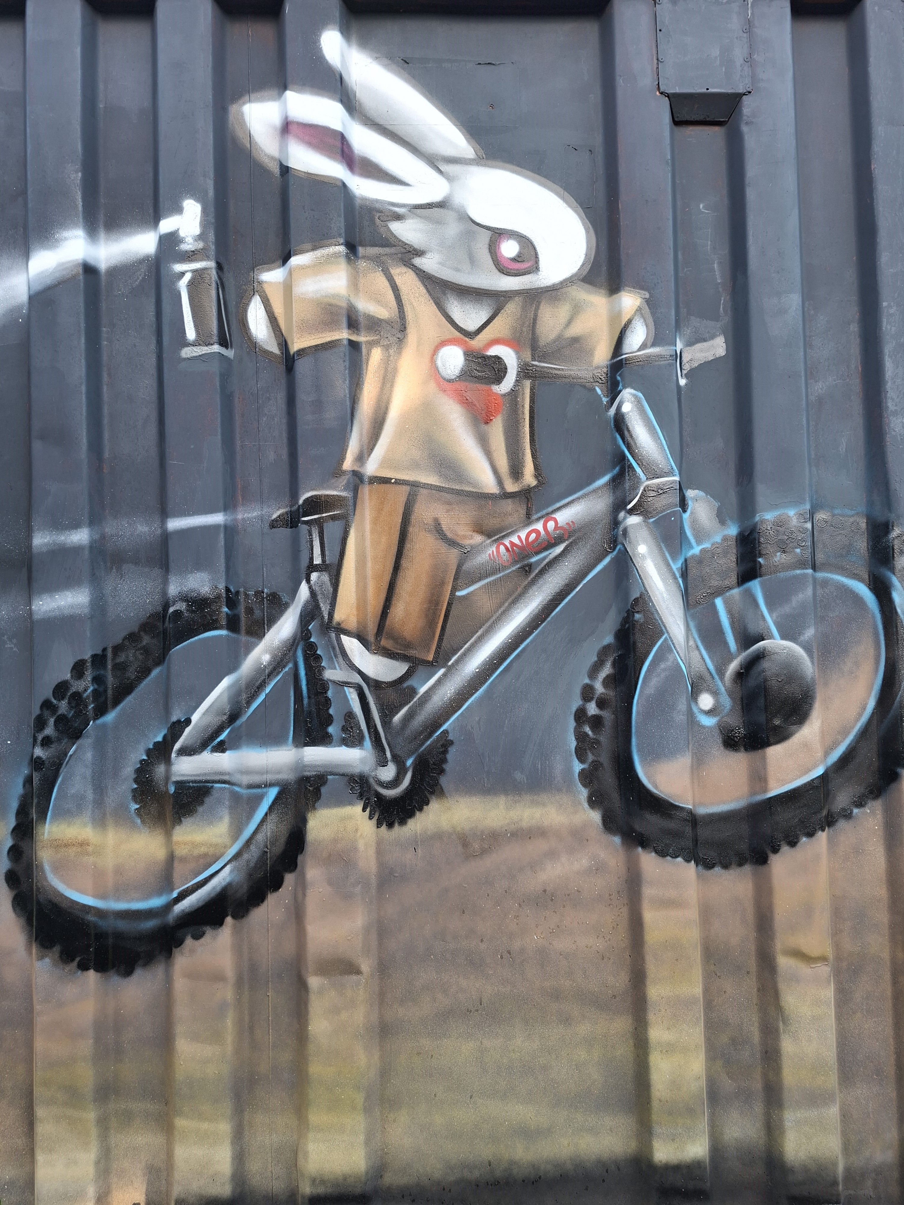 Championnat de la R�UNION de BMX